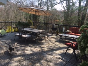 File May 12, 2 49 06 PM